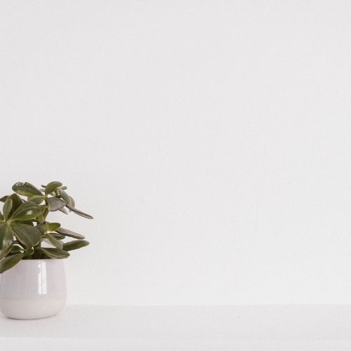 プロフィール背景画像